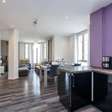 Appartement Large 2 Bdrs Down Town - Ac Nice